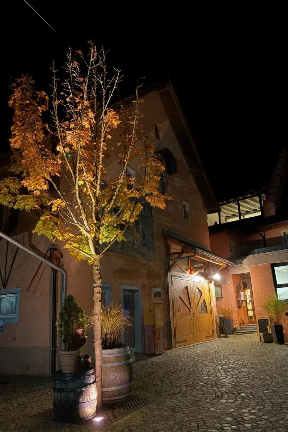 View (from property/room)