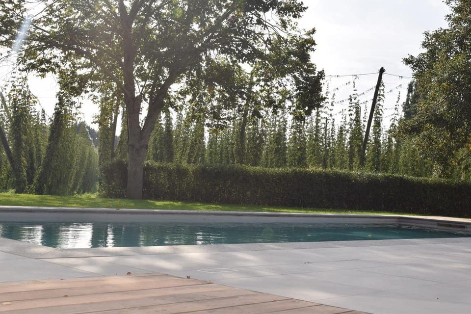 Natural landscape, Swimming pool