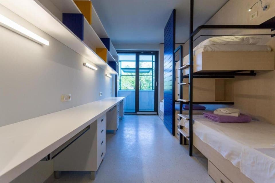 Bed, Photo of the whole room, Bedroom, bunk bed