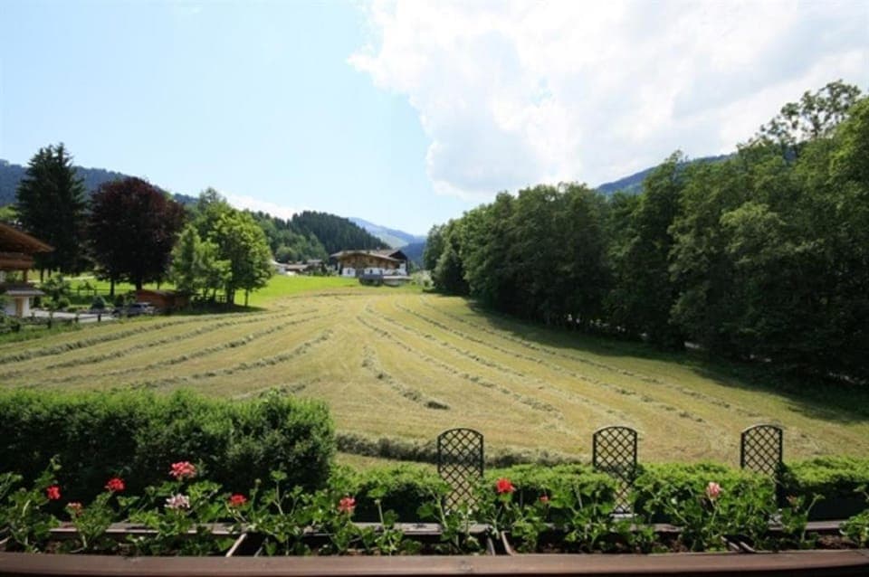 Day, Natural landscape