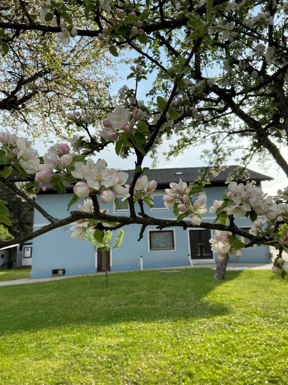 Property building, Garden