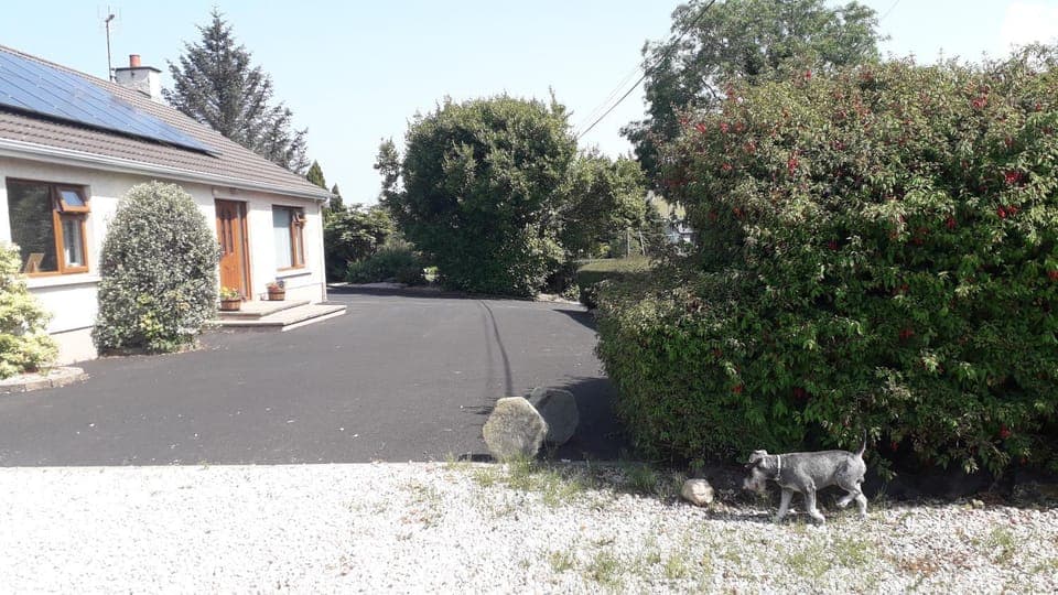 Property building, Facade/entrance, Garden