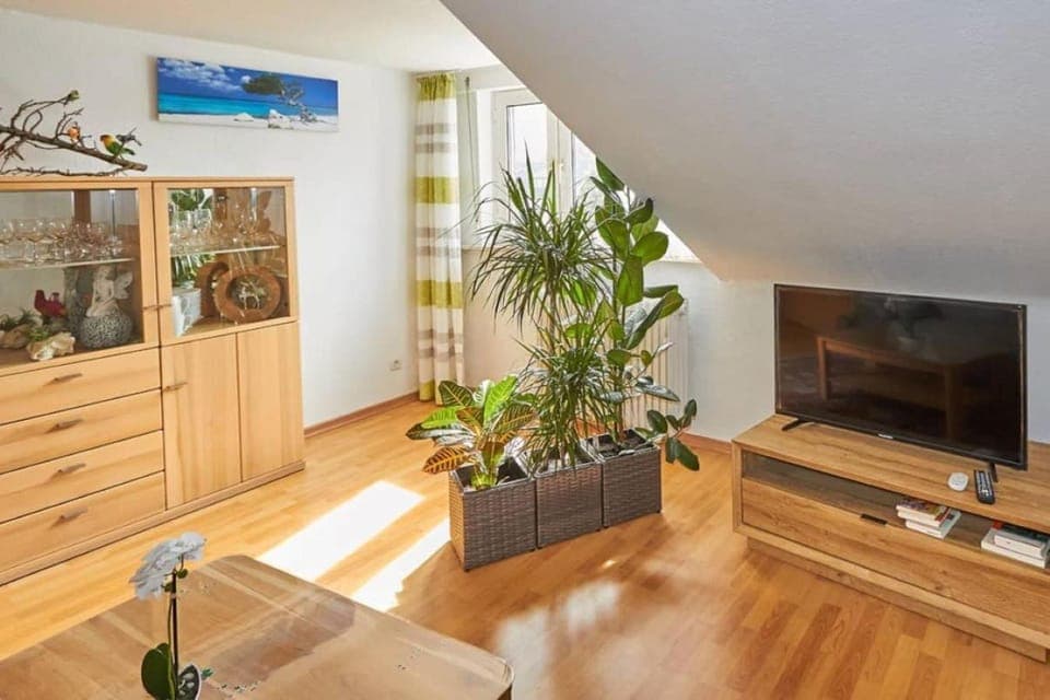 TV and multimedia, Living room, Evening entertainment