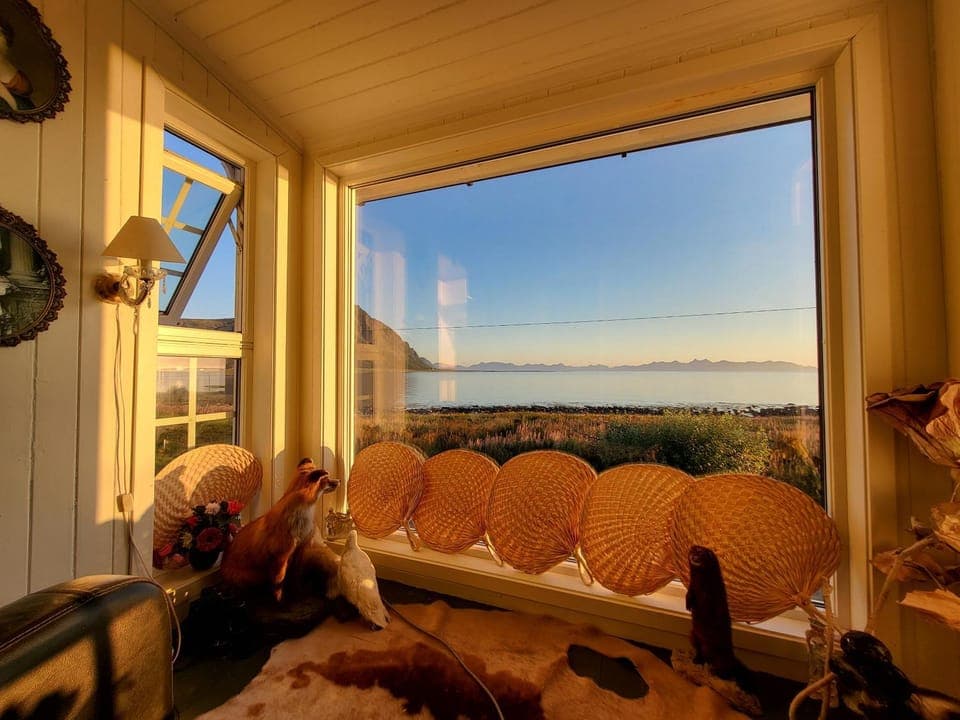 View (from property/room)