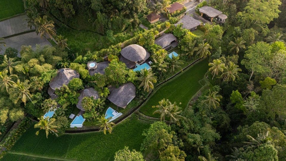 Property building, Spring, Day, Natural landscape, Bird's eye view, Garden, Garden view, Pool view, Swimming pool