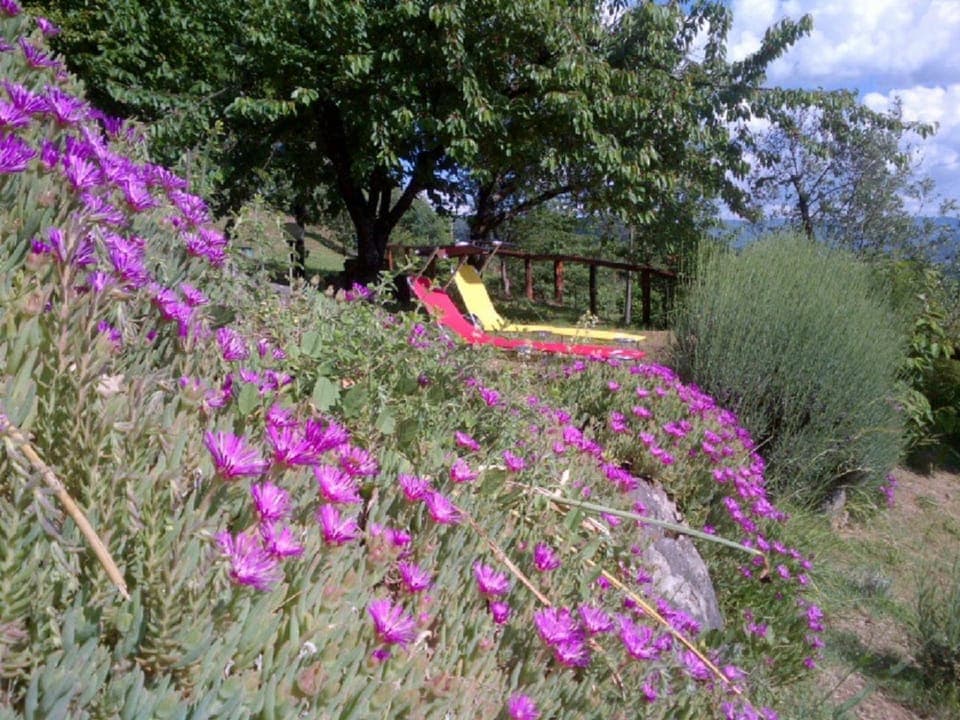 Nearby landmark, Restaurant/places to eat, Natural landscape, Summer, BBQ facilities, Fishing, Garden, Horse-riding, Library, Skiing, Balcony/Terrace, Canoeing, Hiking, Cycling, Evening entertainment, On site, City view, Garden view, Landmark view, Mountain view, Supermarket/grocery shop, Shopping Area, Swimming pool, Certificate/Award, Certificate/Award