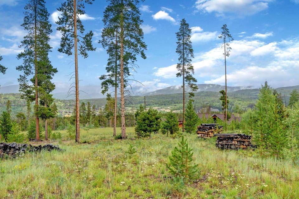 Mountain view