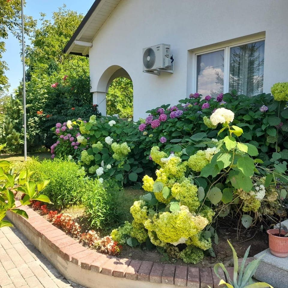 Property building, Spring, Day, Garden, Garden view