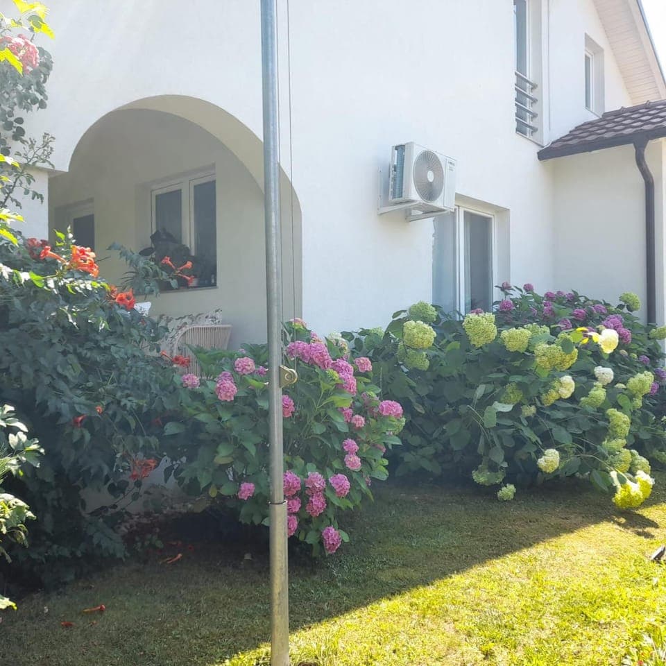 Property building, Spring, Day, Garden, Garden view