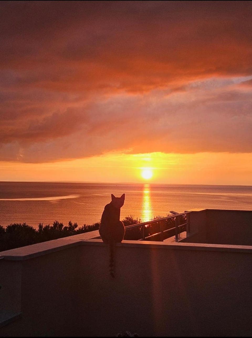 Guesthouse Maro Bed and Breakfast in Zadar County