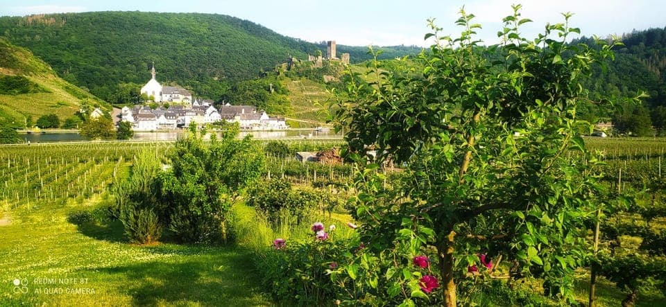 Natural landscape, Garden, Garden view, Landmark view, River view