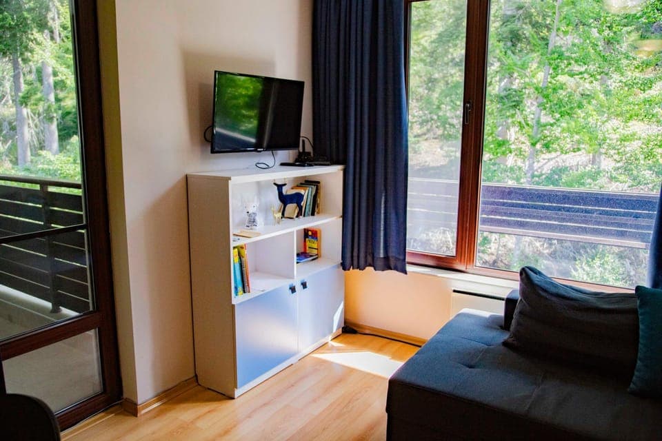 TV and multimedia, Evening entertainment