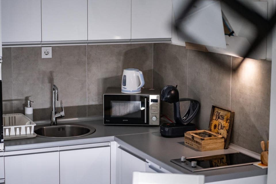 Coffee/tea facilities, Kitchen or kitchenette, minibar, pet friendly, stove, toaster