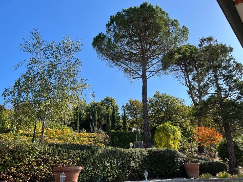 Natural landscape, Garden