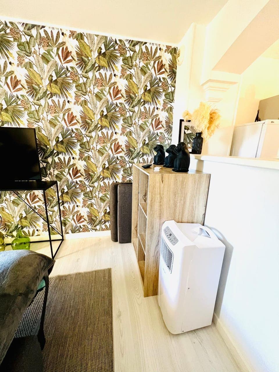 TV and multimedia, Living room, air conditioner