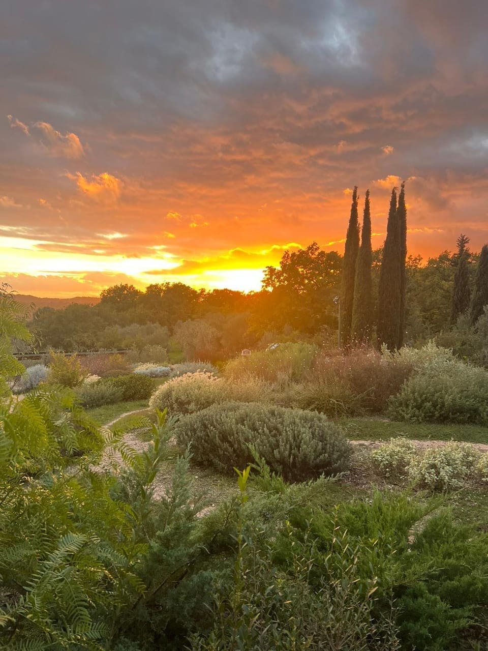 Day, Natural landscape, Sunset