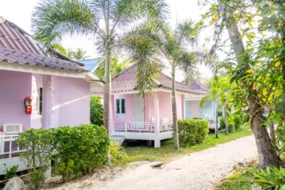Day, Garden, Garden view