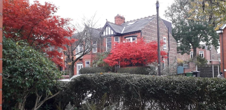 Day, Neighbourhood, View (from property/room), Garden view, Street view