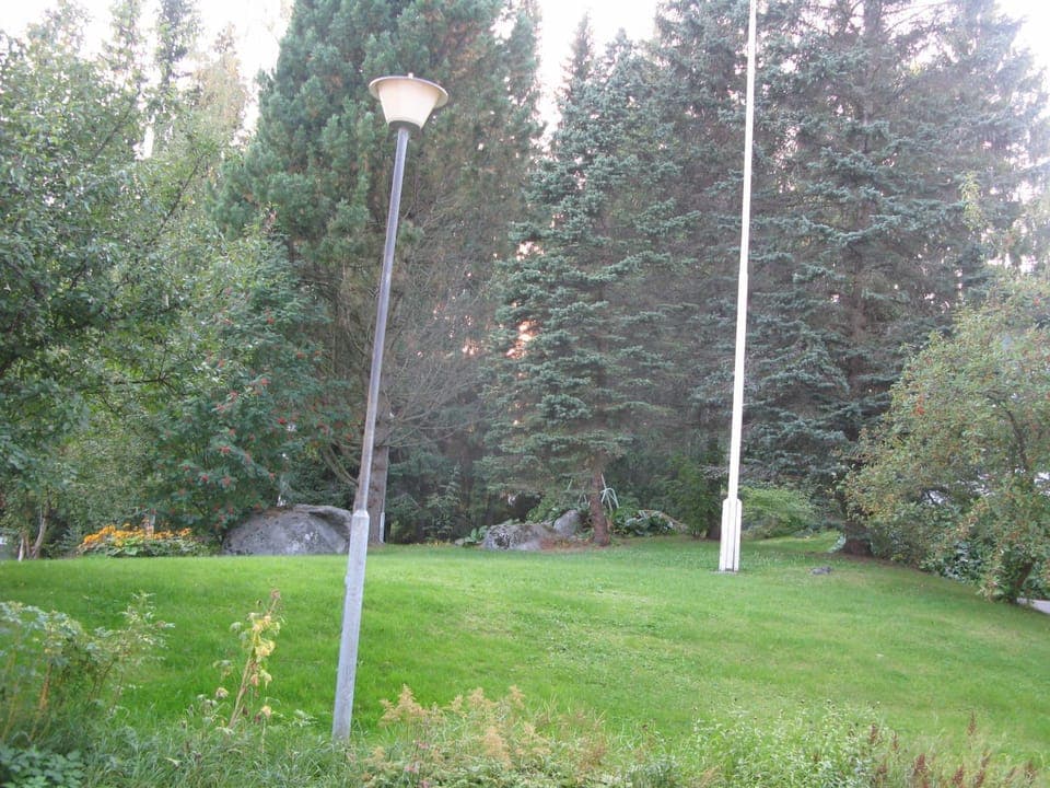 Natural landscape