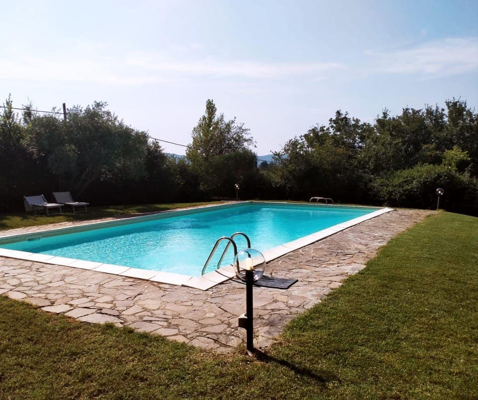 Garden, Garden view, Pool view, Swimming pool, sunbed