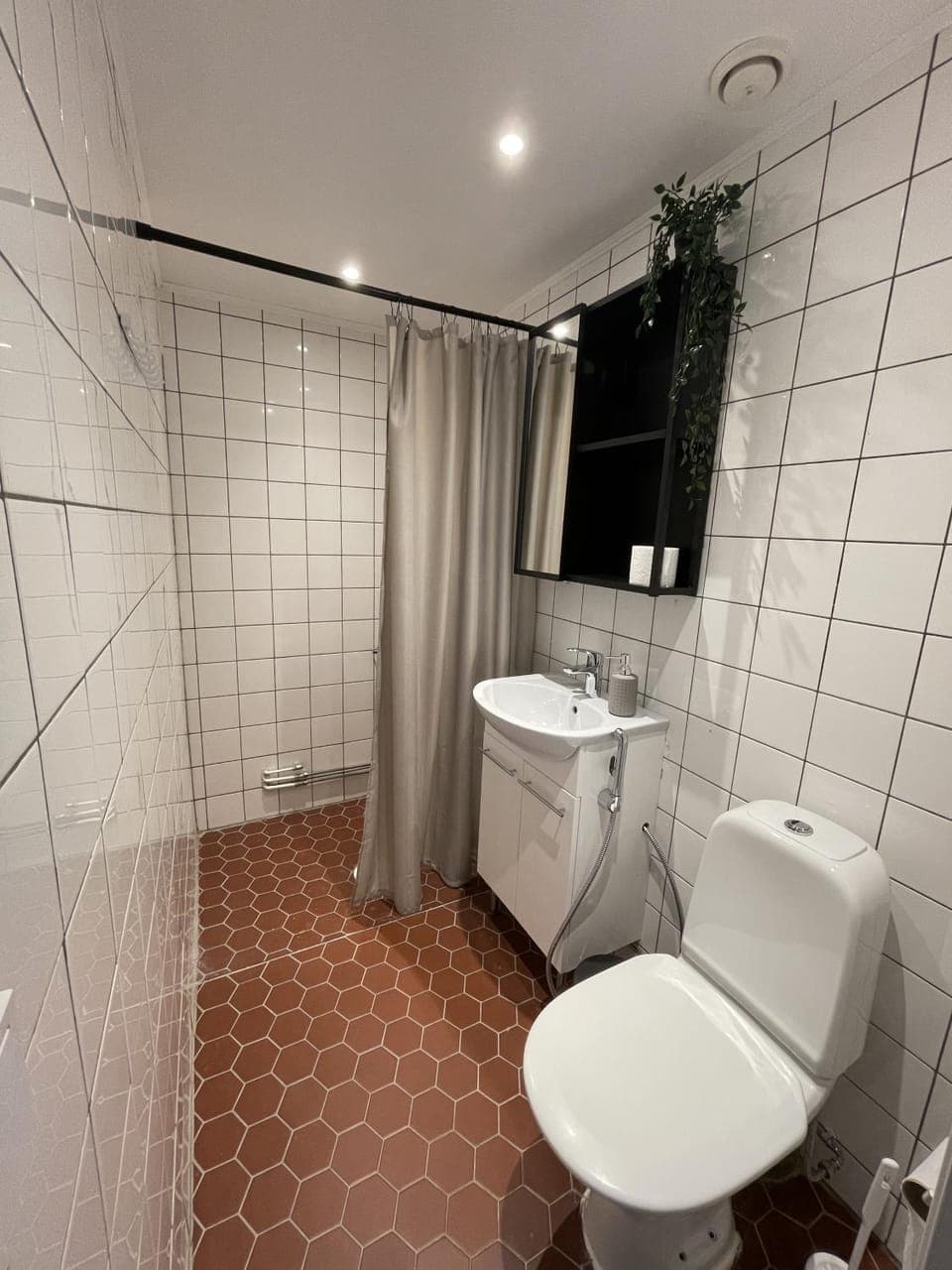 Shower, Toilet, Bathroom