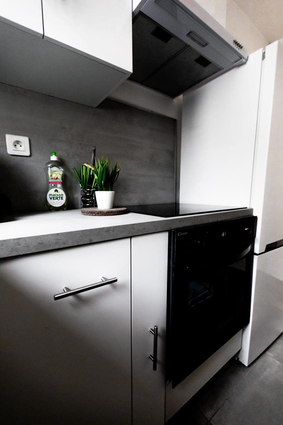 Kitchen or kitchenette, pet friendly, stove, kitchen, kitchen