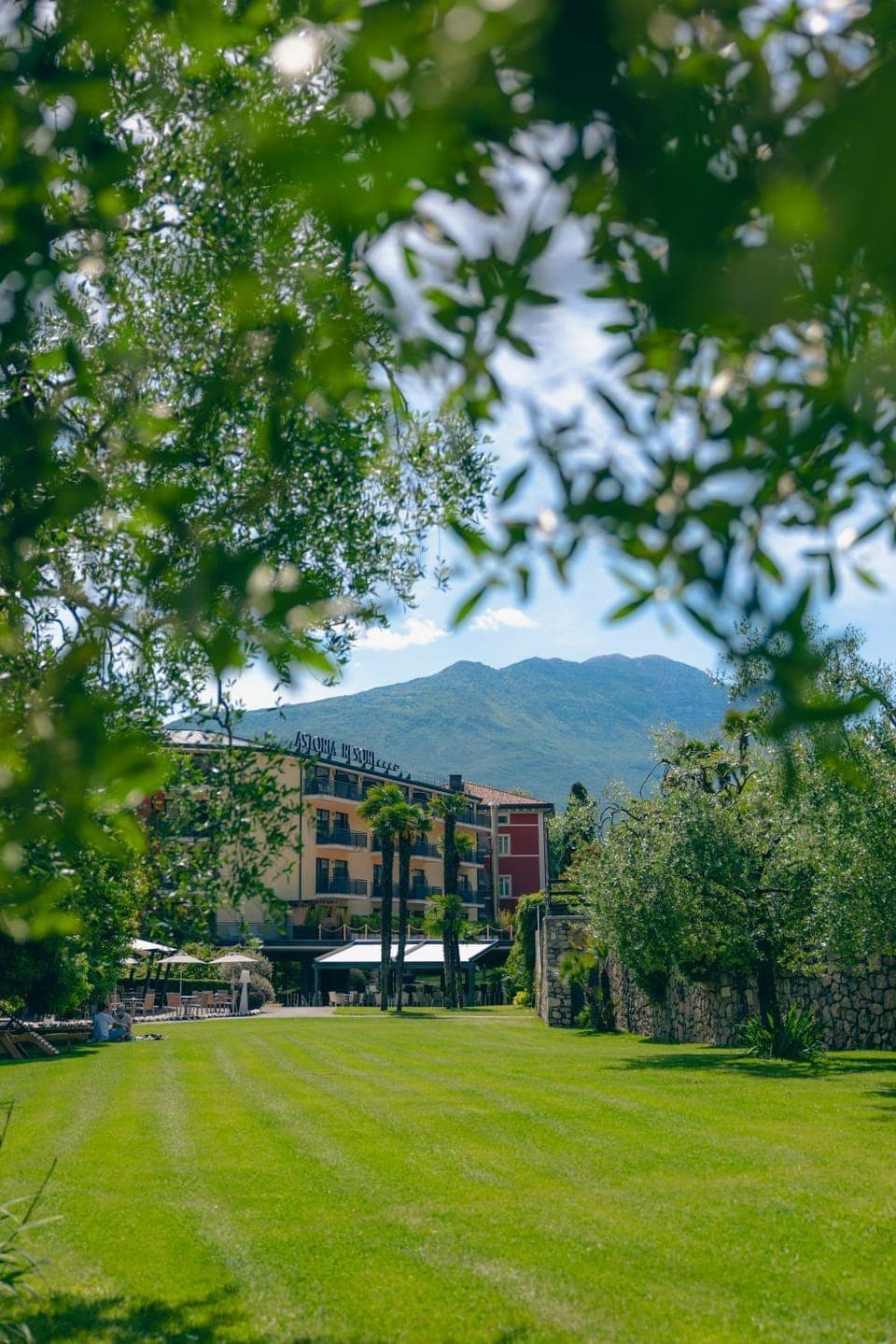 Garden, Garden view, Mountain view