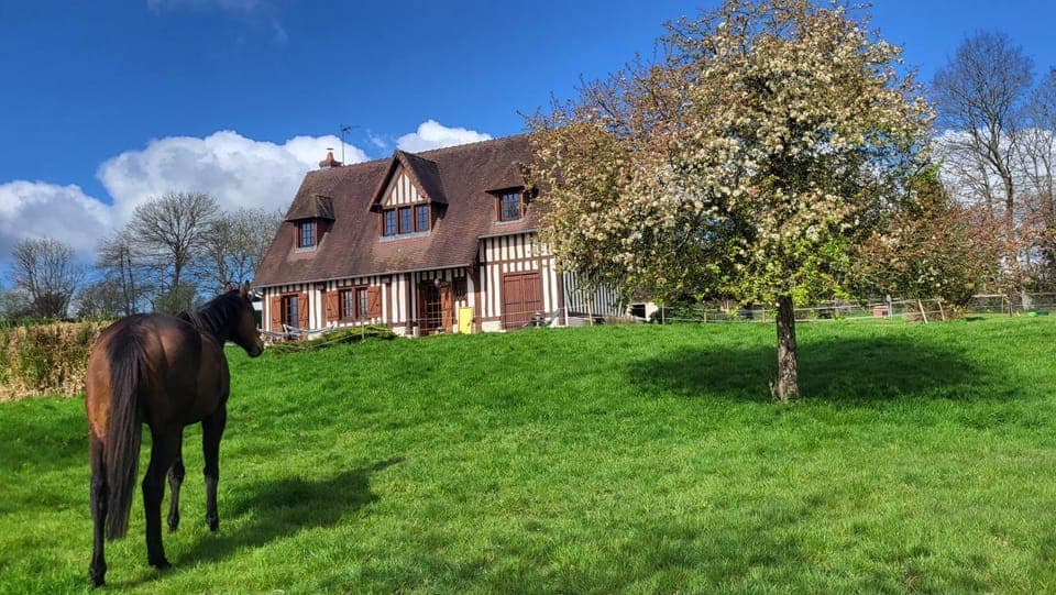 Property building, Garden, Garden view