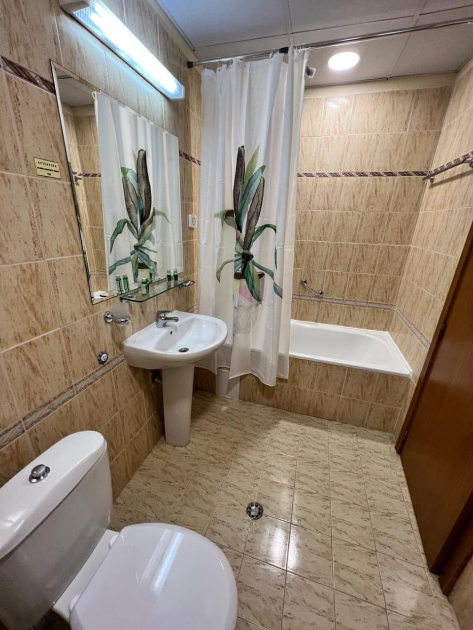 Shower, Toilet, Bathroom, Bath