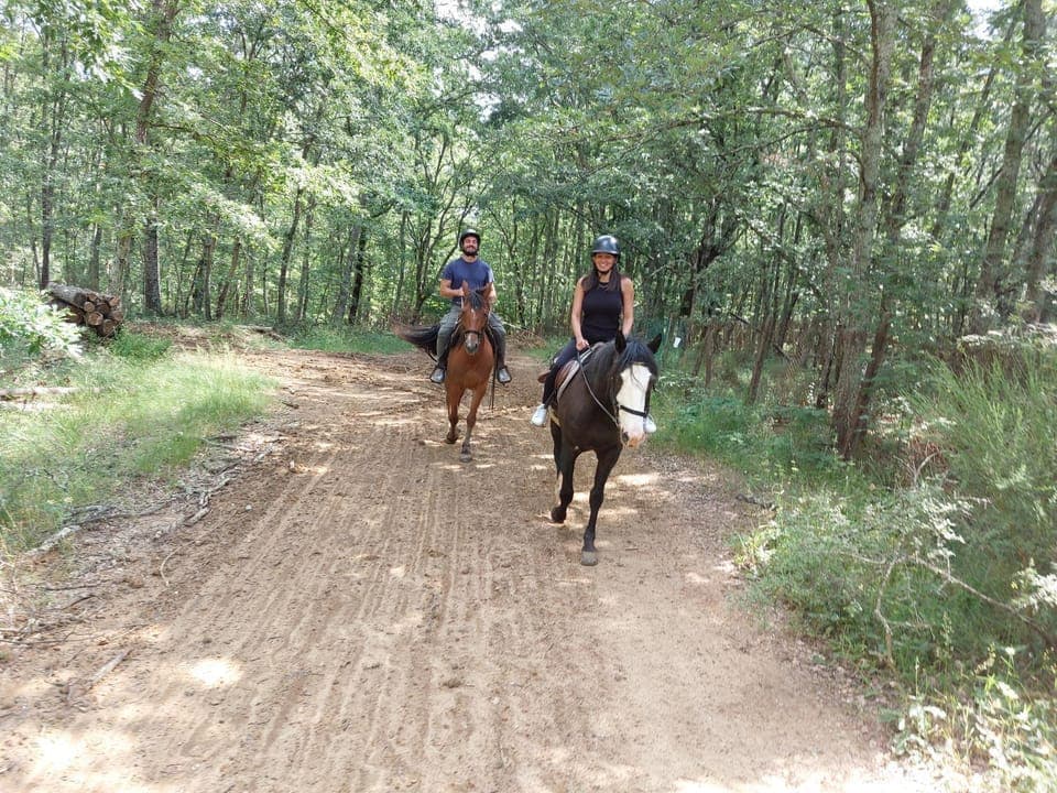 Property building, Horse-riding