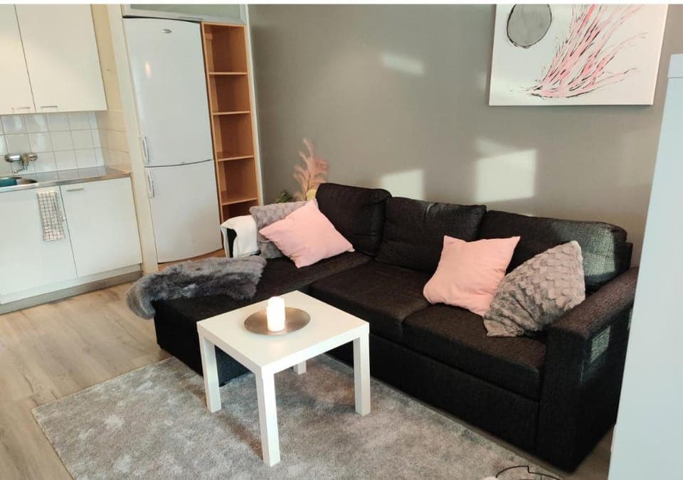 Viihtyisä yksiö Porissa Apartment in Finland