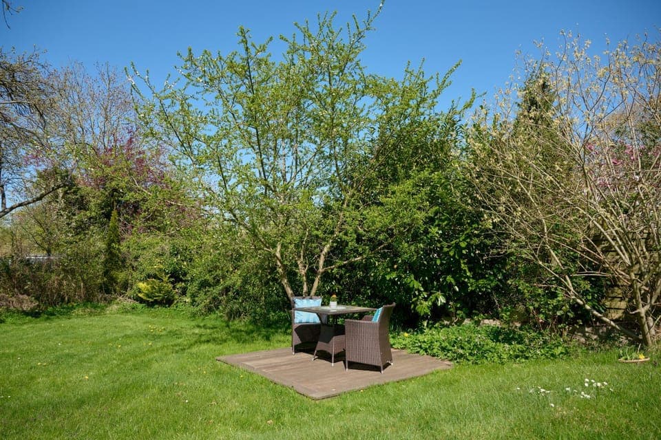 Garden, Balcony/Terrace