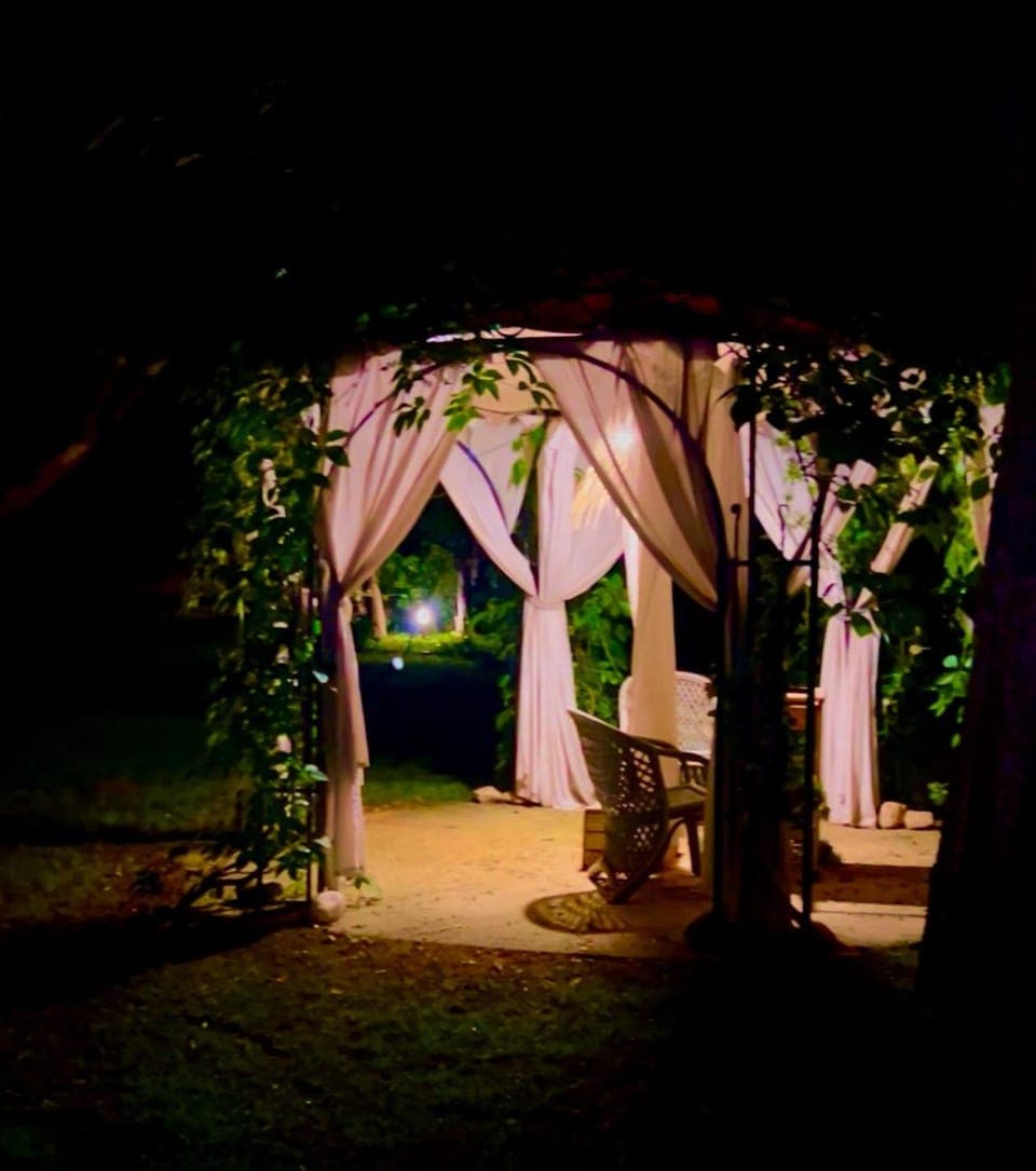 Patio, Night, Garden, Garden view