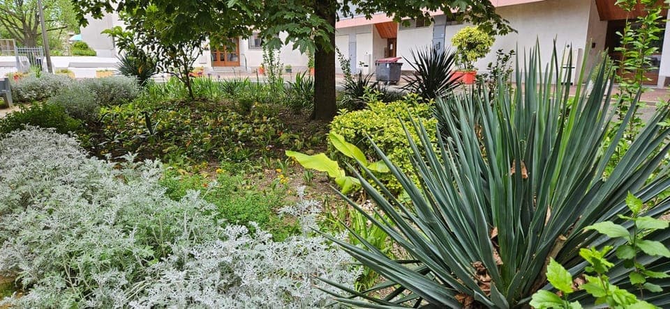 Spring, Day, Garden view