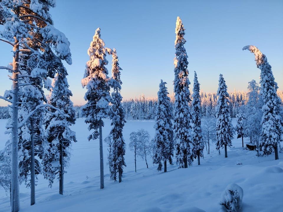 Natural landscape, Winter