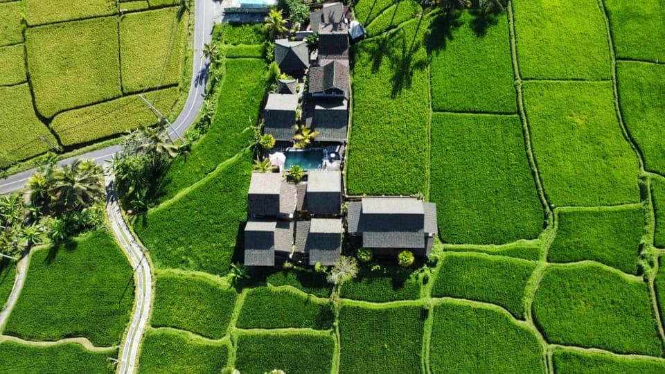 Property building, Bird's eye view, Garden view