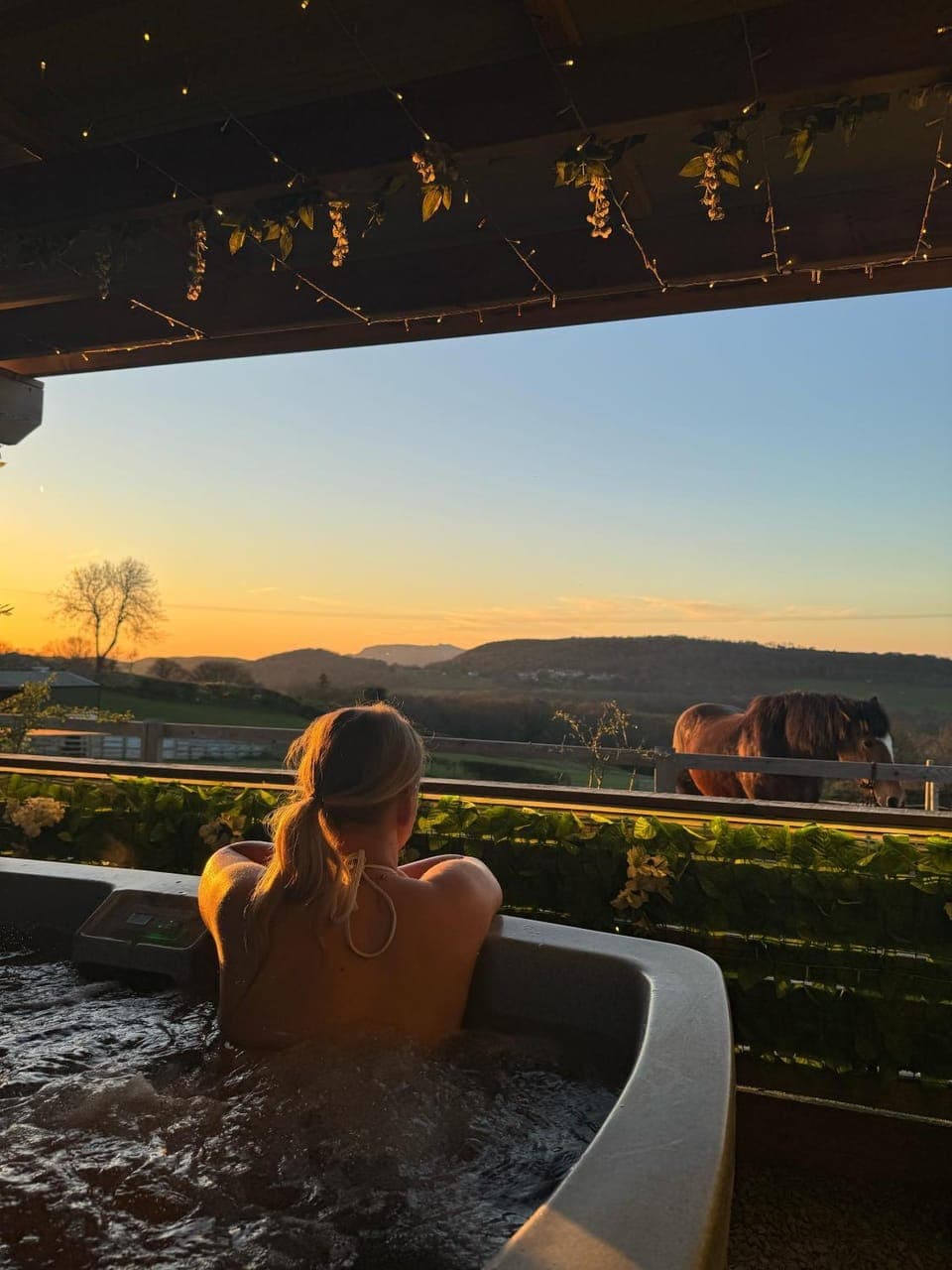 Natural landscape, Hot Tub, Mountain view