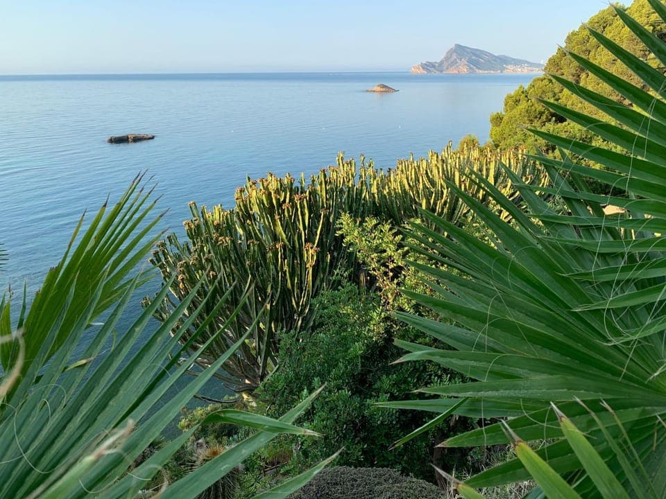 Sea view