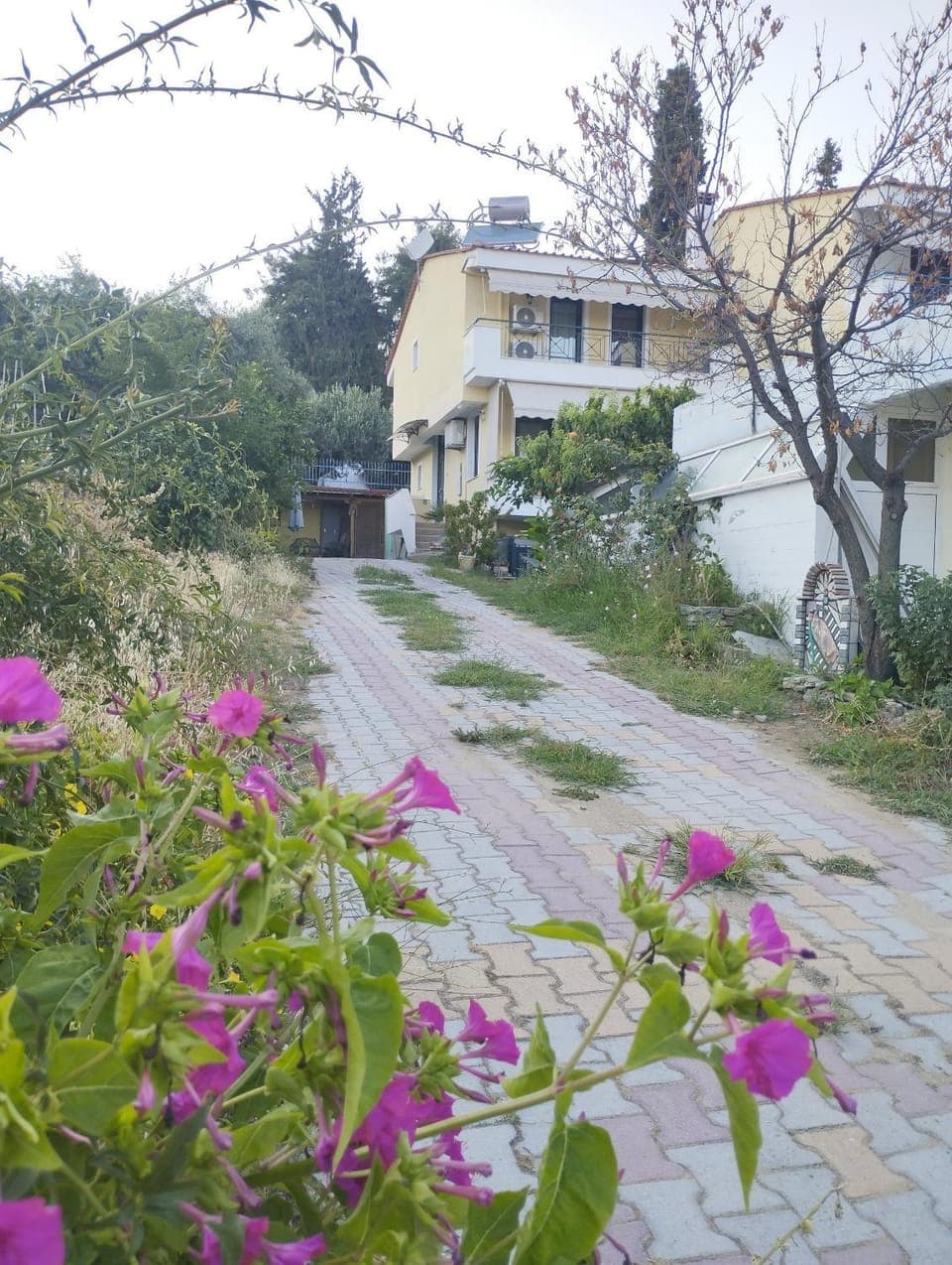 Property building, Garden