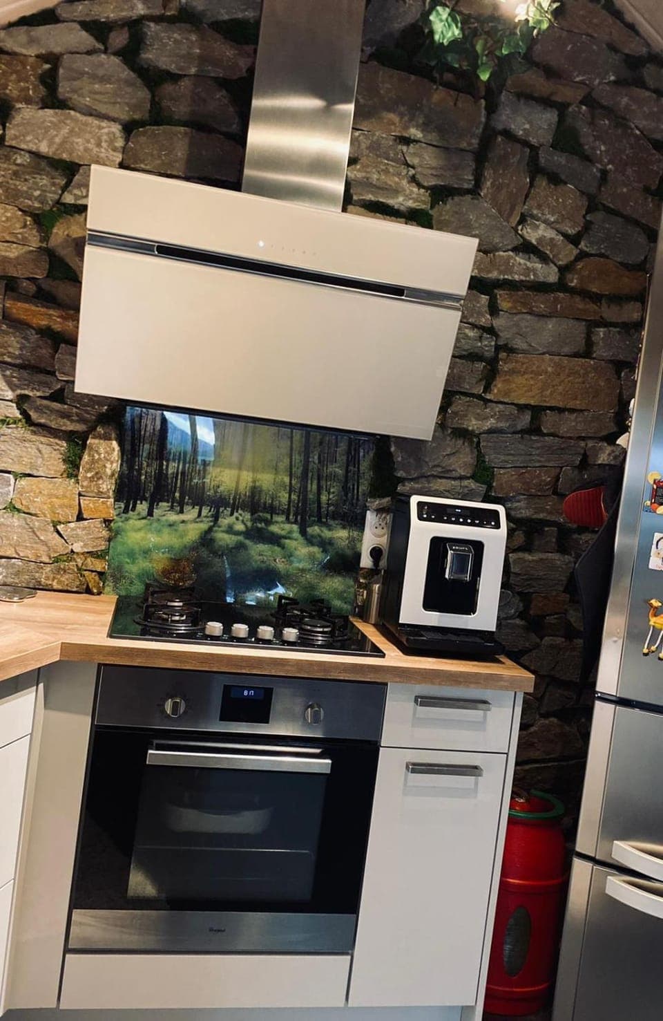 Kitchen or kitchenette, pet friendly, stove, toaster