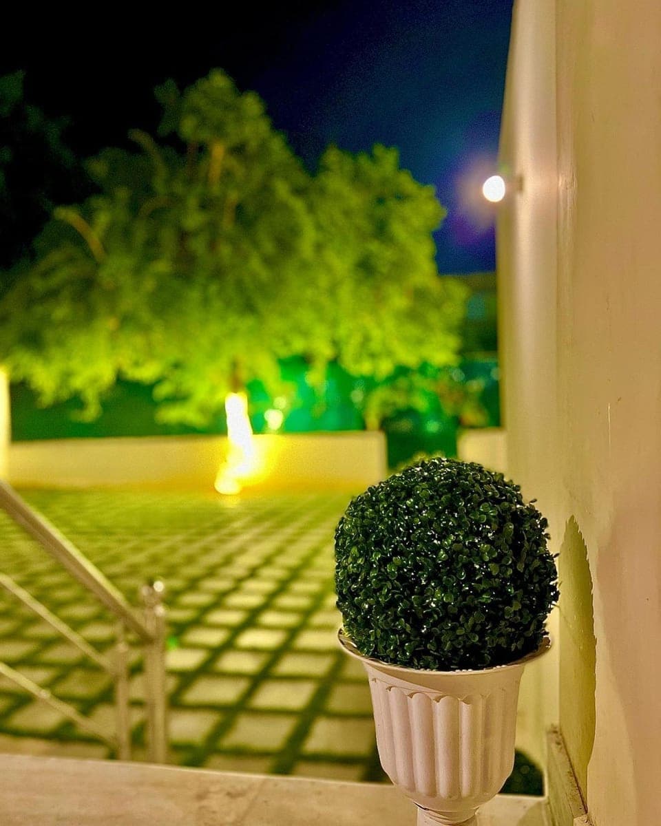 Night, Garden, Garden view