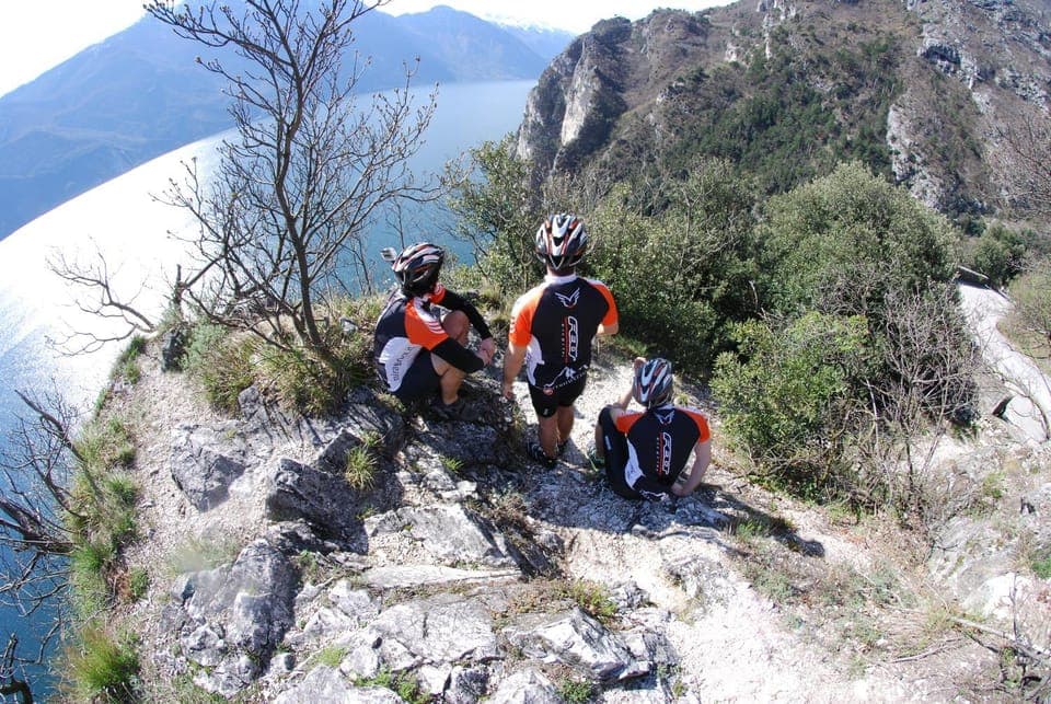 People, group of guests