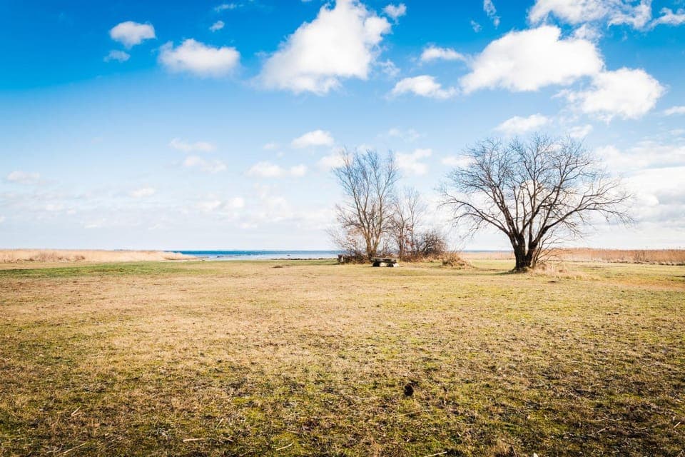 Spring, Beach, Sea view