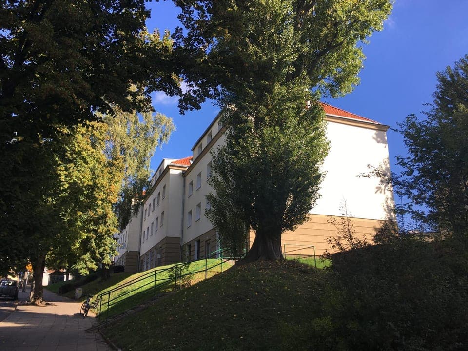 Property building, Day, Neighbourhood, Street view