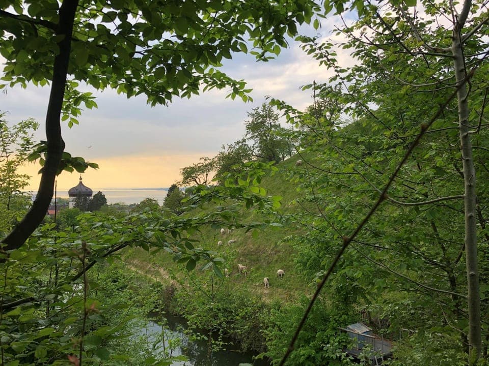 Natural landscape, Lake view, River view