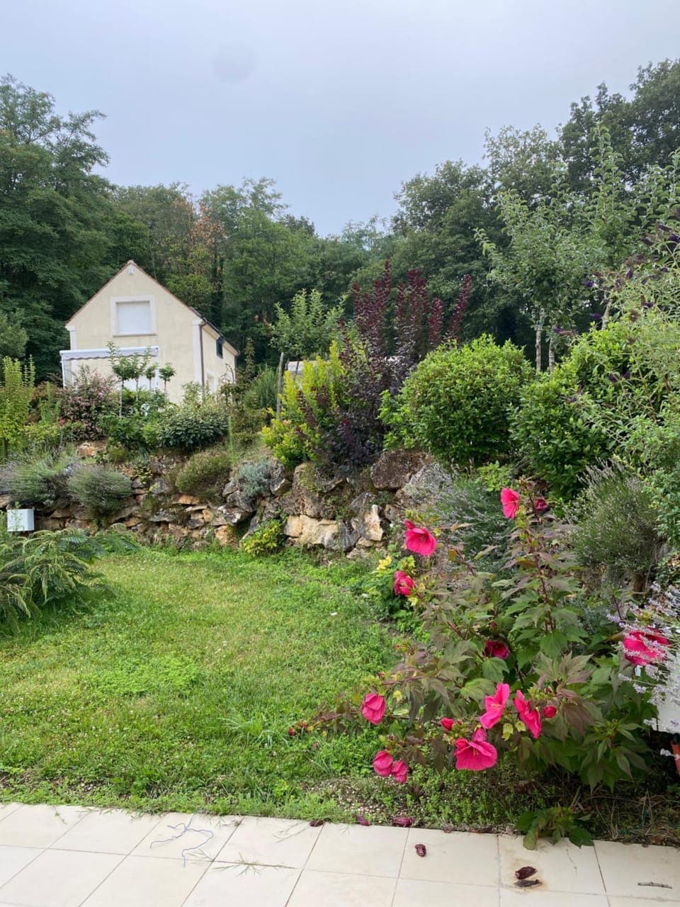 Spring, Natural landscape, Garden, Garden view