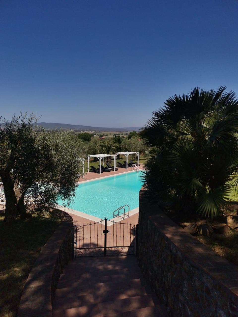 Natural landscape, Pool view, Swimming pool