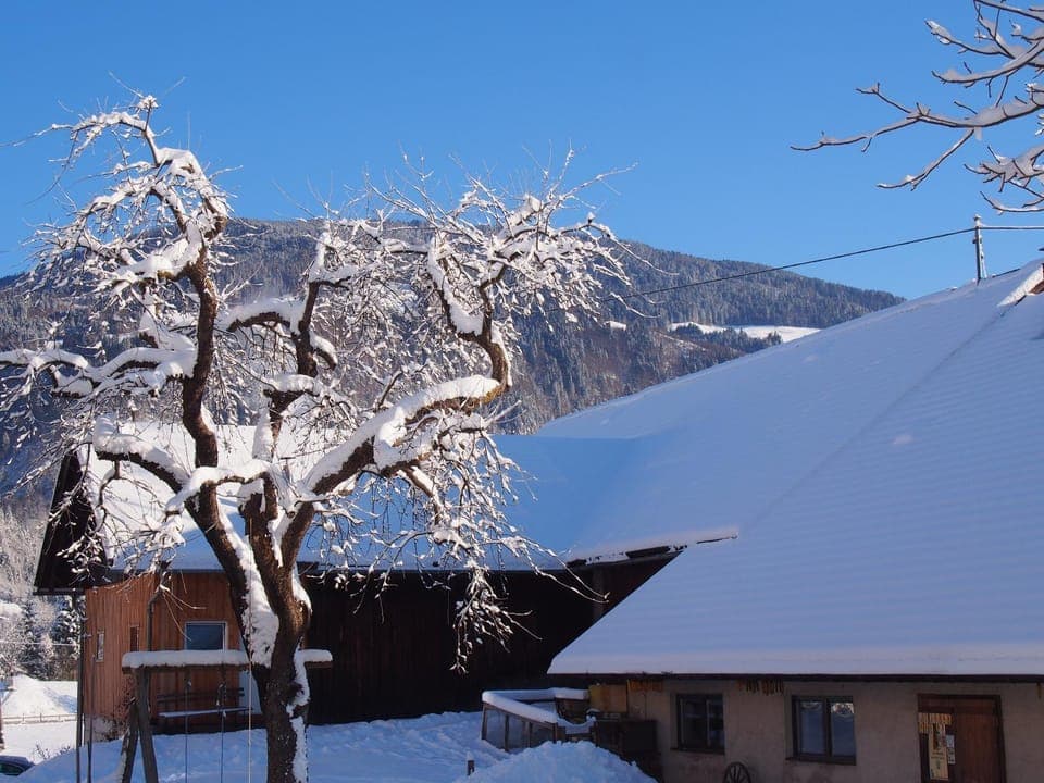 Patio, Winter, Garden, On site