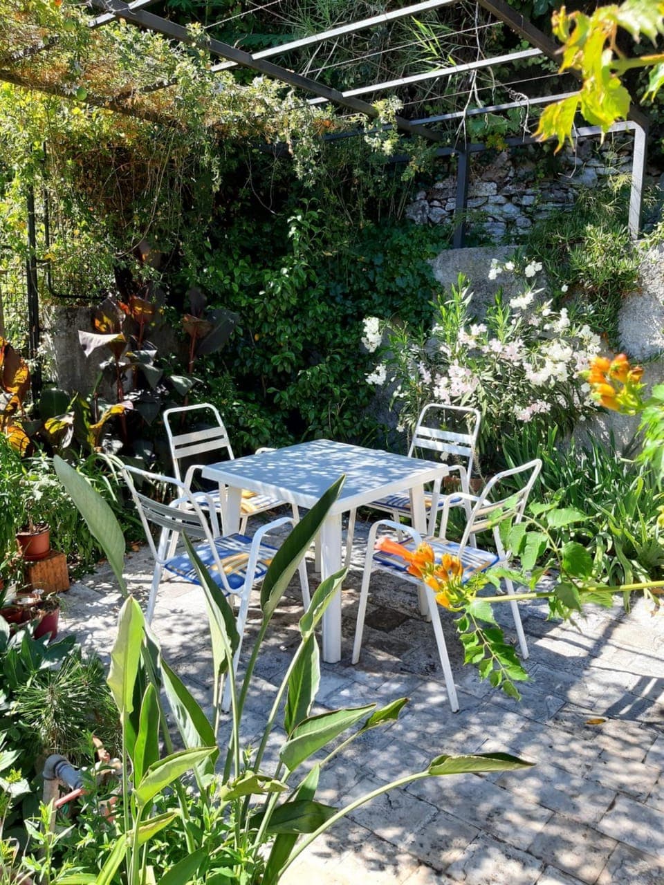 Patio, Garden