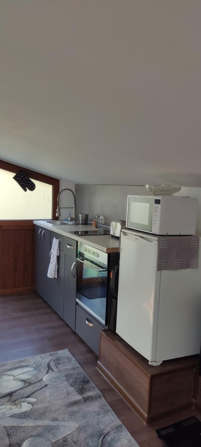 Kitchen or kitchenette, minibar, pet friendly